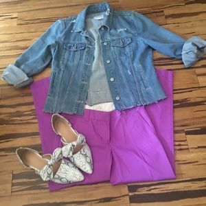 J. Crew Factory Skimmer City Fit Pant